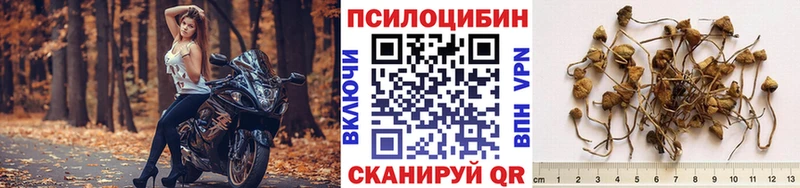 Псилоцибиновые грибы Cubensis  Реж 