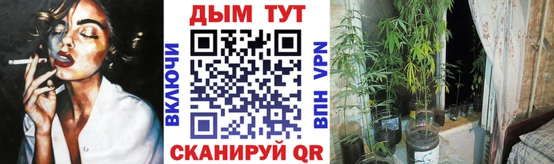 Каннабис MAZAR  Реж 